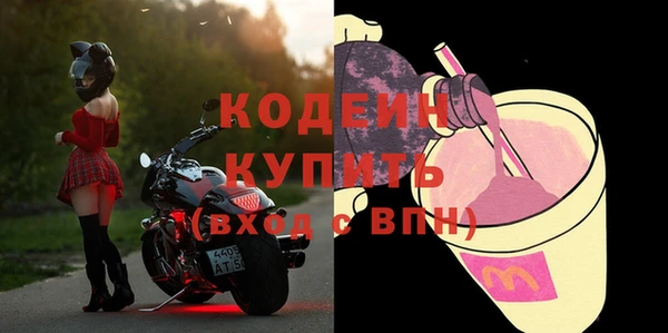 мдпв Гусь-Хрустальный