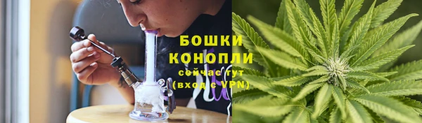 мдпв Гусь-Хрустальный