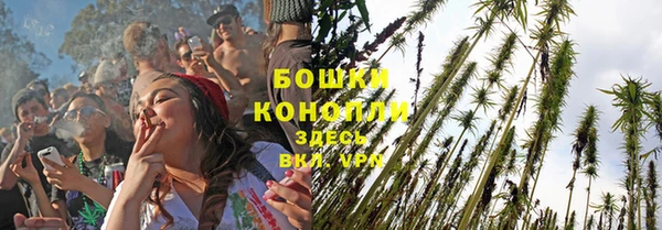 мдпв Гусь-Хрустальный
