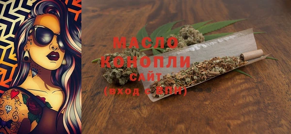 сатива Горняк