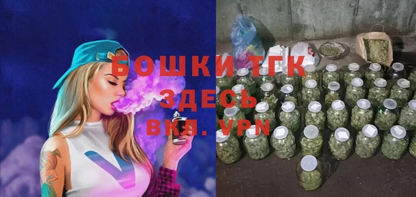 мдпв Гусь-Хрустальный