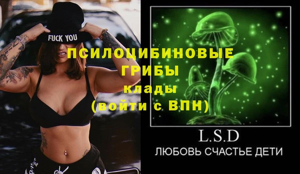 крисы Гусиноозёрск