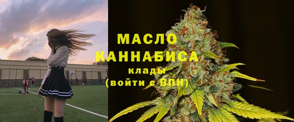 мдпв Гусь-Хрустальный